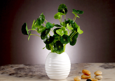 微飾界旗艦店中的裝飾花瓶官網(wǎng)價(jià)格貴嗎 - 秀給網(wǎng)裝修隊(duì)